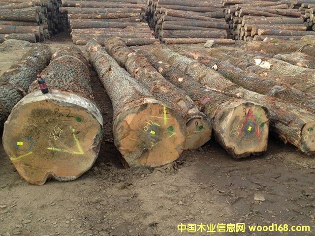 �W���Ԕ����B