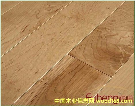 ���ӌ�(sh��)ľ�\(y��n)��(d��ng)ľ�ذ��Ԕ��(x��)��B