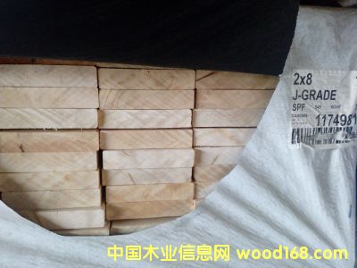 J��(j��)TOLKO��Ԕ��(x��)��B