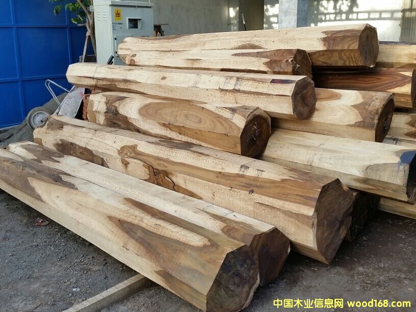 ӡ�����֦��Ԕ��(x��)��B