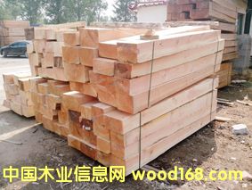 ����۲ĵ�Ԕ��(x��)��B