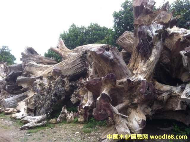 ���/�𻨘�(sh��)/����骘�(sh��)����Ԕ��(x��)��B