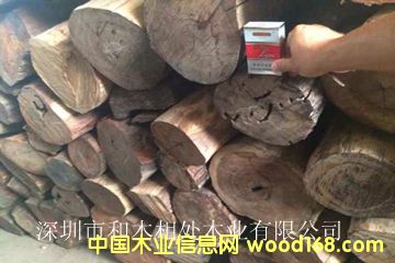 大紅酸枝的詳細(xì)介紹