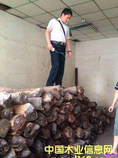 ӡ��С�~��̴��Ԕ��(x��)��B