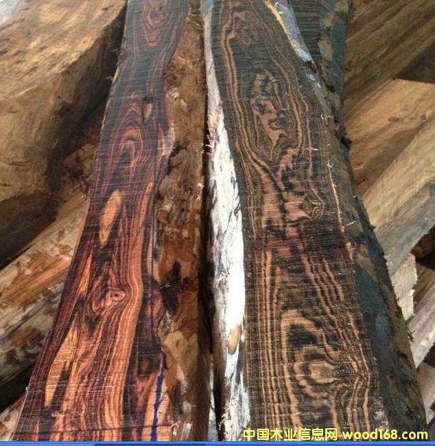 �����V����(y��u)�|����ľ��Ԕ����B