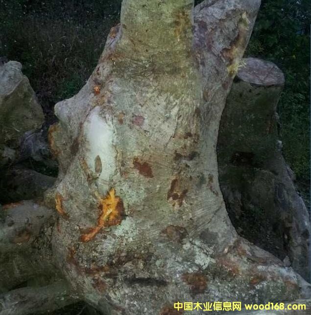 �Ĵ���z�ľ�䘶��Ԕ����B