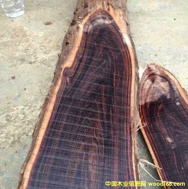 �����V����(y��u)�|����ľ��Ԕ����B