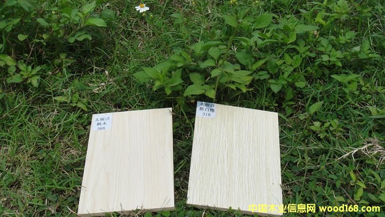 8��Ԕ����B