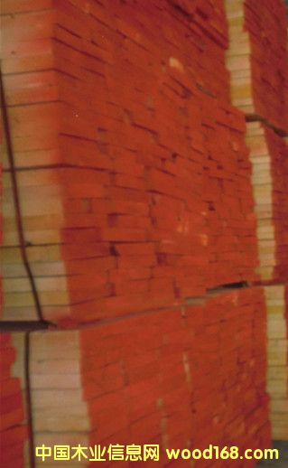 ��ɼ��Ԕ��(x��)��B