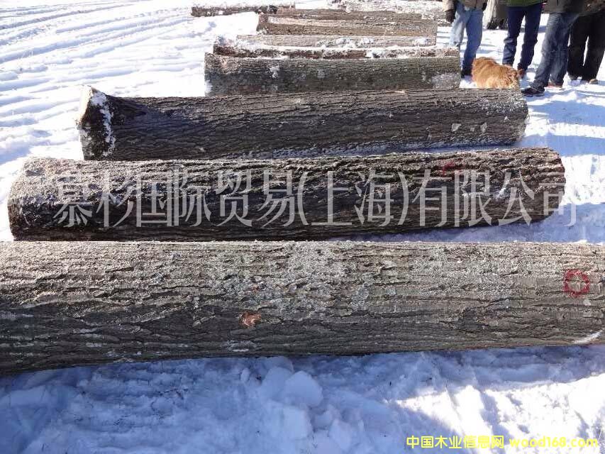 �����t��