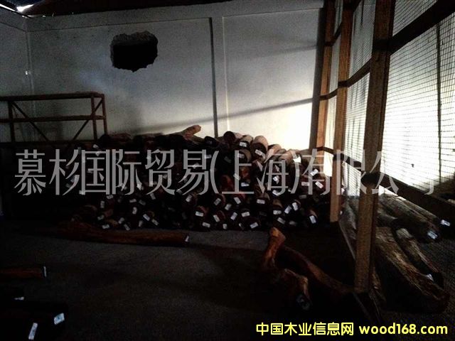 �߼yľ��Ԕ����B