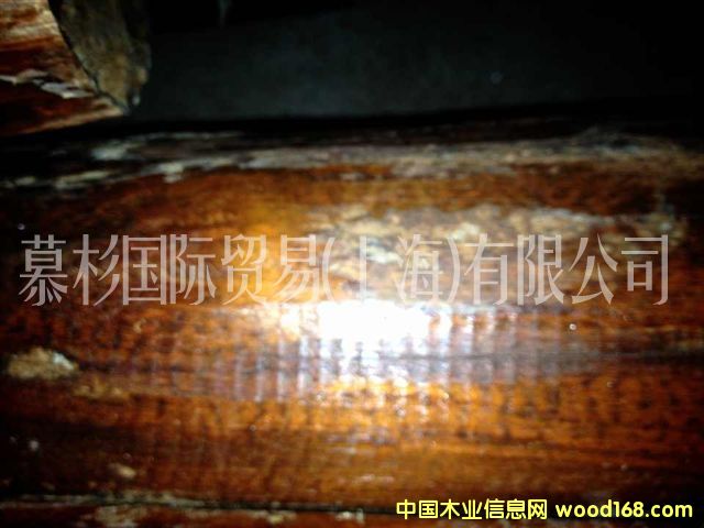 �߼yľ��Ԕ����B