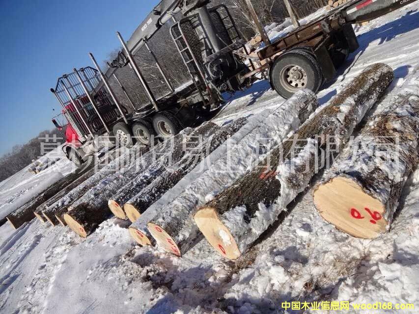 ����(gu��)�t��