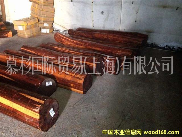 �߼yľ��Ԕ����B