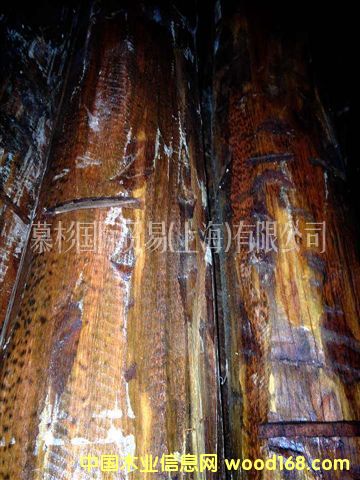 �߼yľ��Ԕ����B