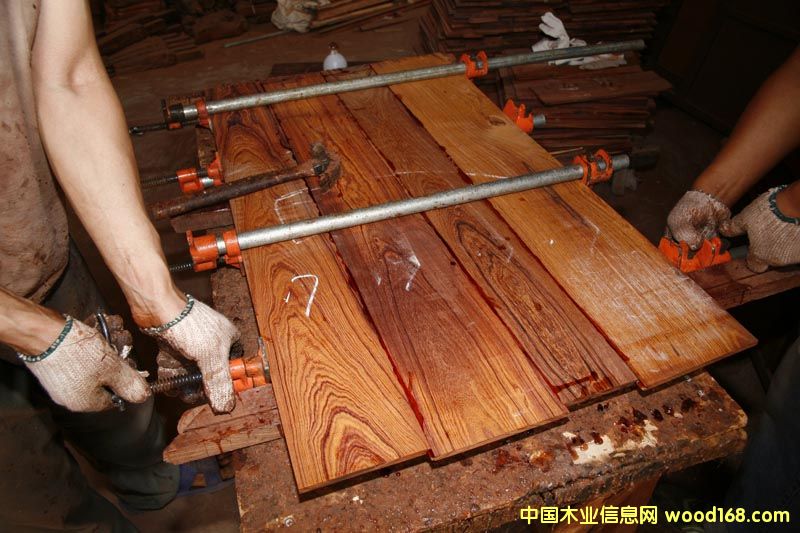 YJ---�νM�ݼtľƴ���z