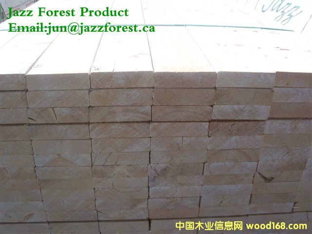 SPF的詳細(xì)介紹