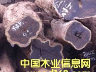 紫光檀的詳細(xì)介紹