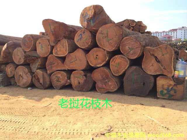 �ϓ뻨֦��Ԕ��(x��)��B