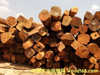 ���黨��ľ��Ԕ��(x��)��B