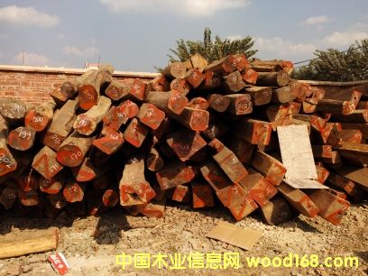 �������֦��Ԕ��(x��)��B