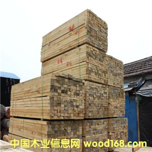 ݗ���� ݗ���ɽ���ľ�ϏS�Ҷ���ֱ�N������ľ