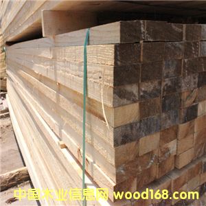 �S�ҹ���(y��ng)ݗ���� �F(xi��n)؛ݗ����ľ�����Ϲ���(y��ng) �ɶ��Ƶ�Ԕ��(x��)��B