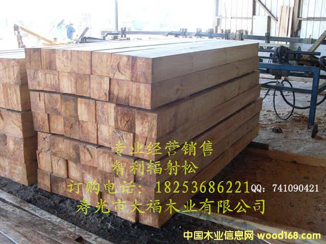 ����ݗ����