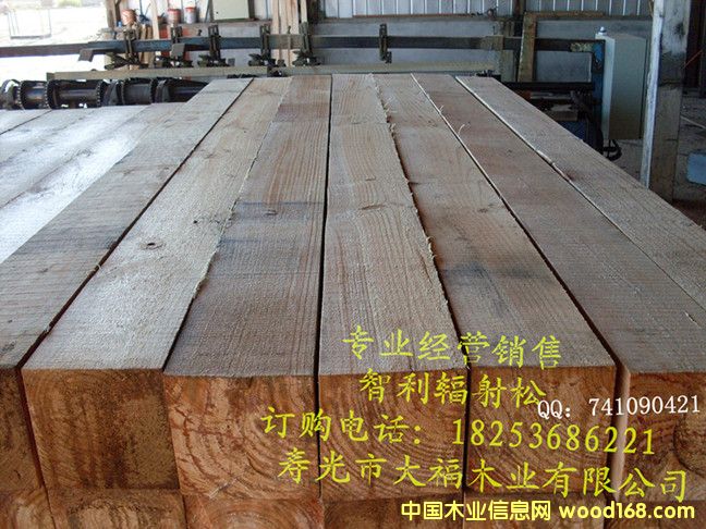 ����ݗ����