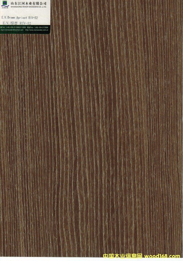 ����52��Ԕ��(x��)��B