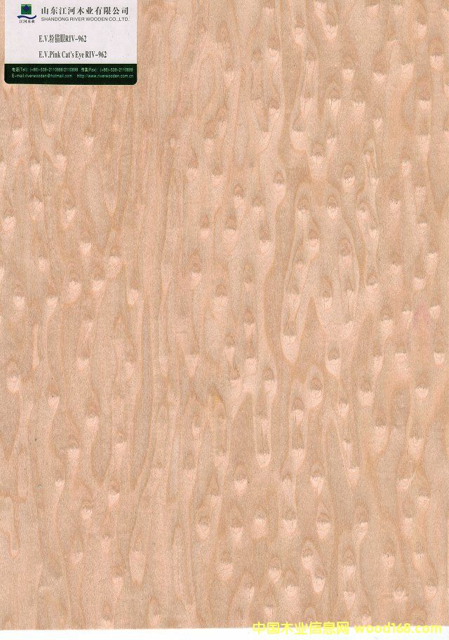 ��؈��962��Ԕ��(x��)��B