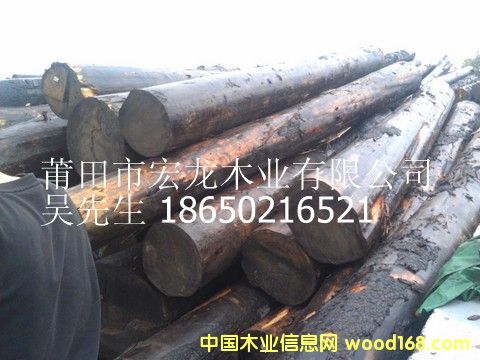 ��ɼԭľ��Ԕ��(x��)��B