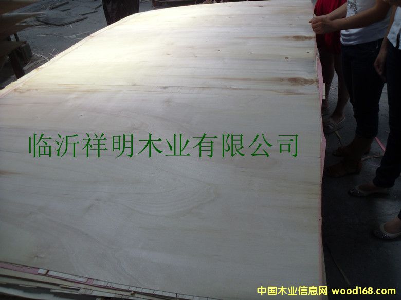 ����Ԕ��(x��)��B