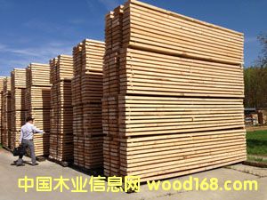 25MM���COL��(j��) �ؼ�(j��) A��(j��)ݗ���ɺ�ɰ��