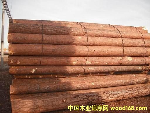 �����ɵ�Ԕ����B