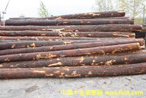 ��ɼС����Ԕ����B