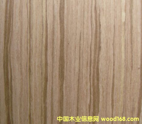 ��ľ8��Ԕ��(x��)��B