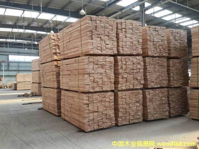 ɽ���ҵذ�����