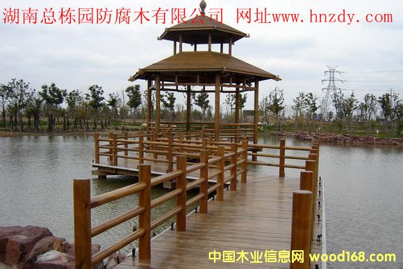 ����ľͤ�ӵ�Ԕ��(x��)��B