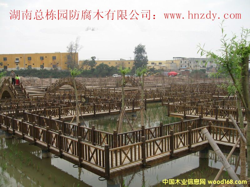 ����ľ������Ԕ��(x��)��B