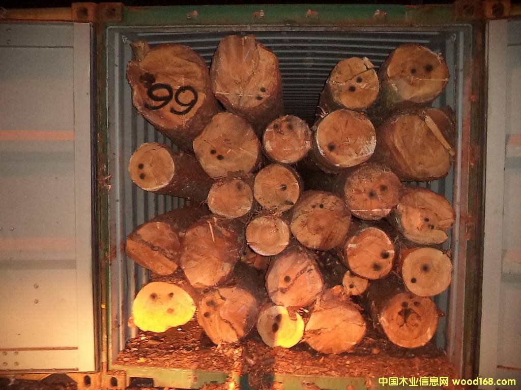 �����m������ԭľ