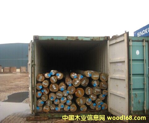 ������ľԭľ