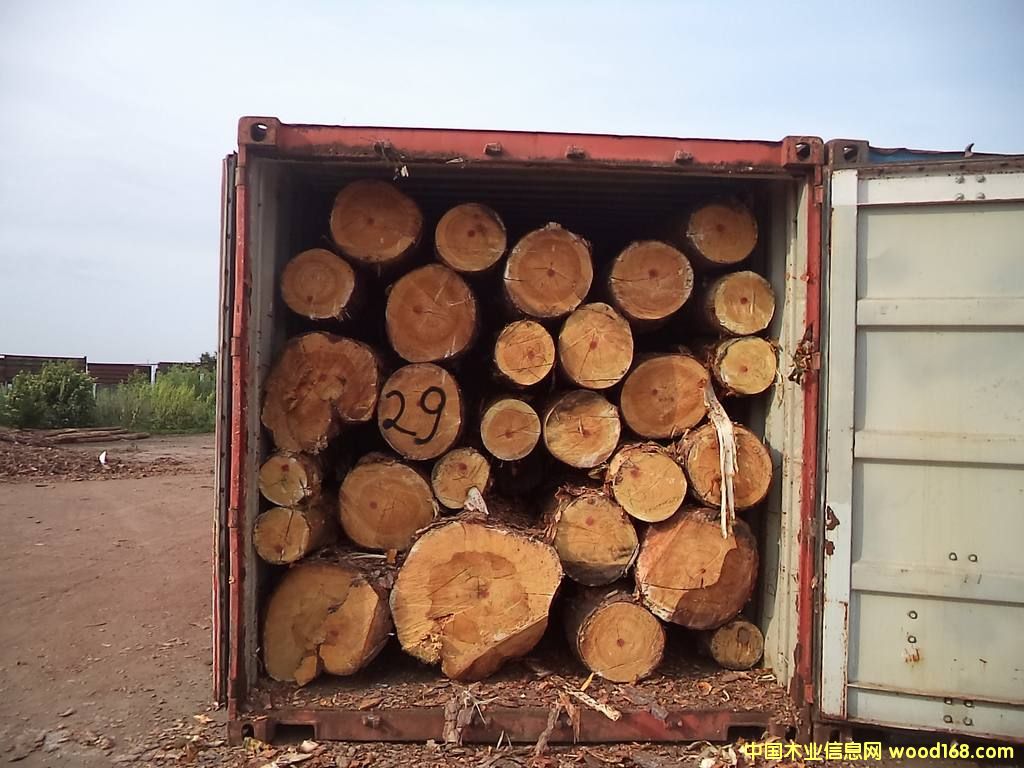 �����m������ԭľ