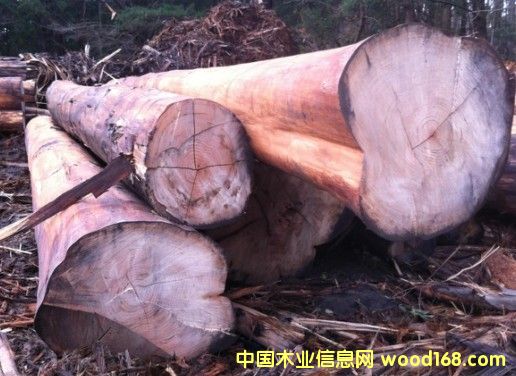 �Ĵ���������ԭľ