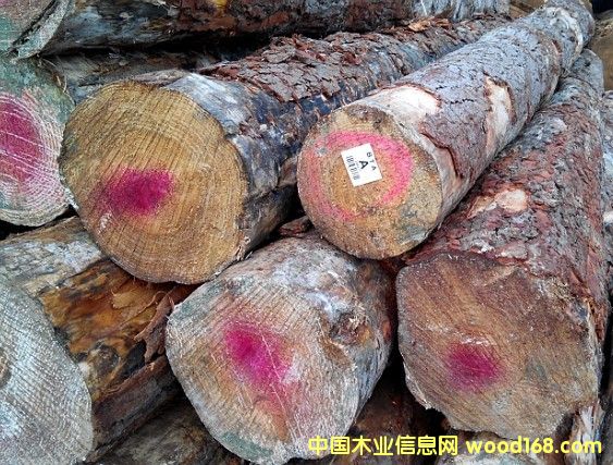 �Ĵ�����ݗ����ԭľ