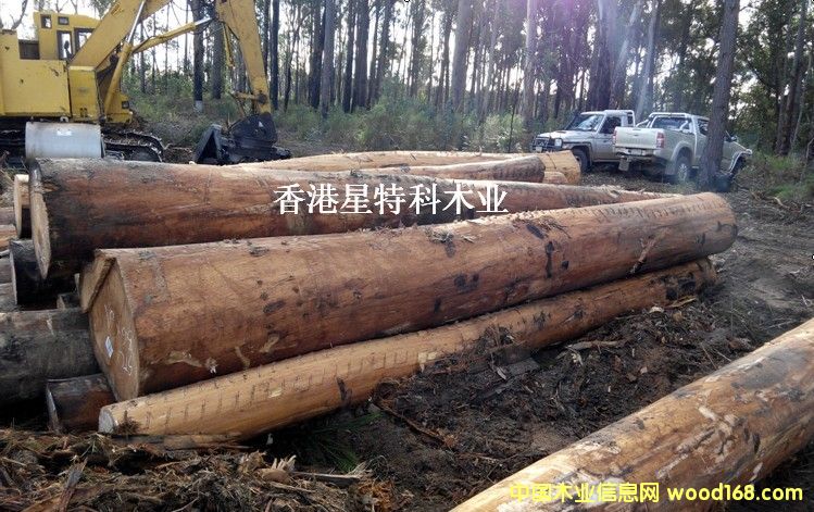 �����y픰�Ϟ��