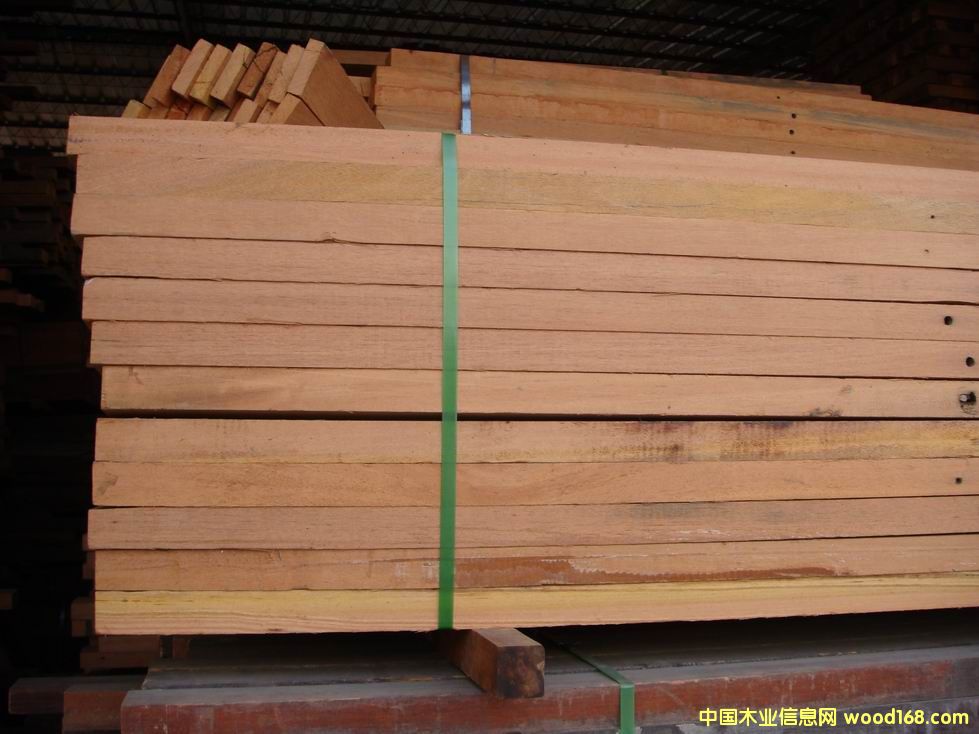 ɽ��ľָ��Ҏ(gu��)��ӹ�