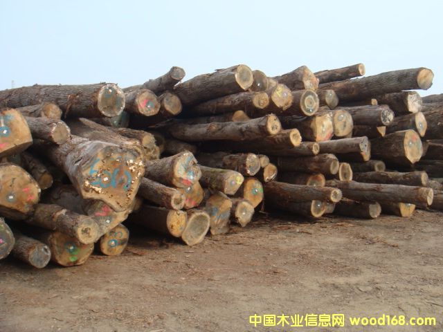 �W�ް����Ԕ��(x��)��B