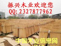 ��ľо���Ԕ����B