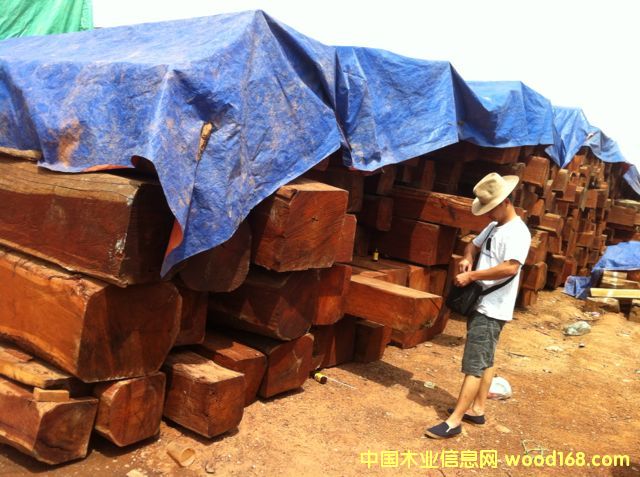 ԭ�a(ch��n)���ϓ뻨��ֱ�N��Ԕ��(x��)��B